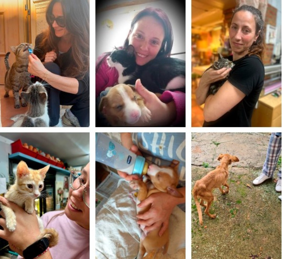 Alma Animal se oficializa como protectora de animales en Calamocha