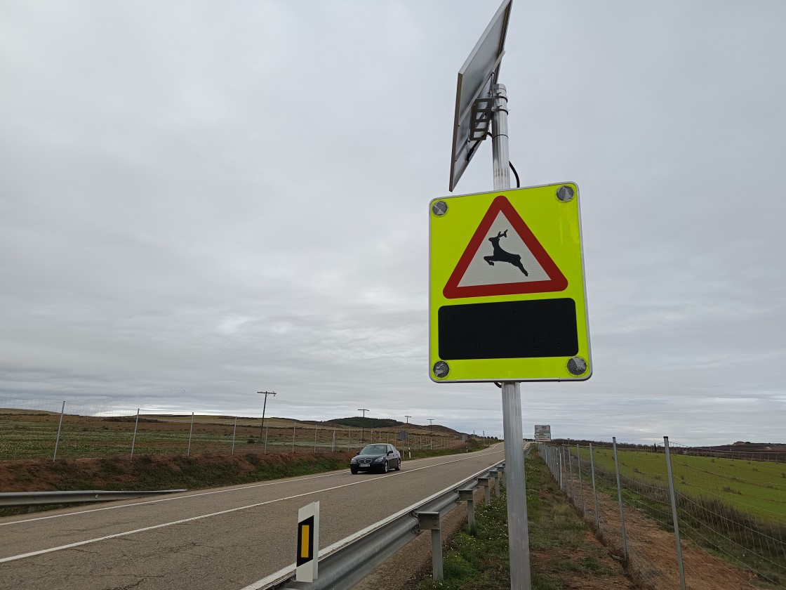 El Mitma instala un sistema de advertencia de fauna en la calzada a la altura de La Estanca