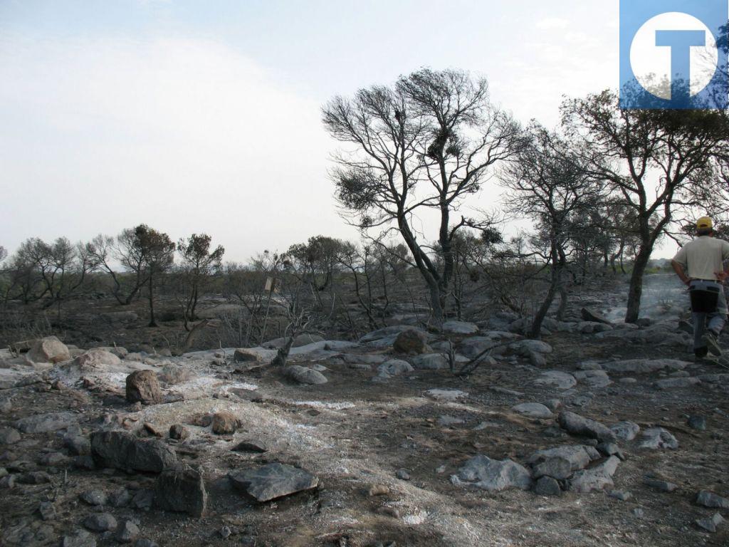 El Gobierno da por controlado el incendio de Samper de Calanda