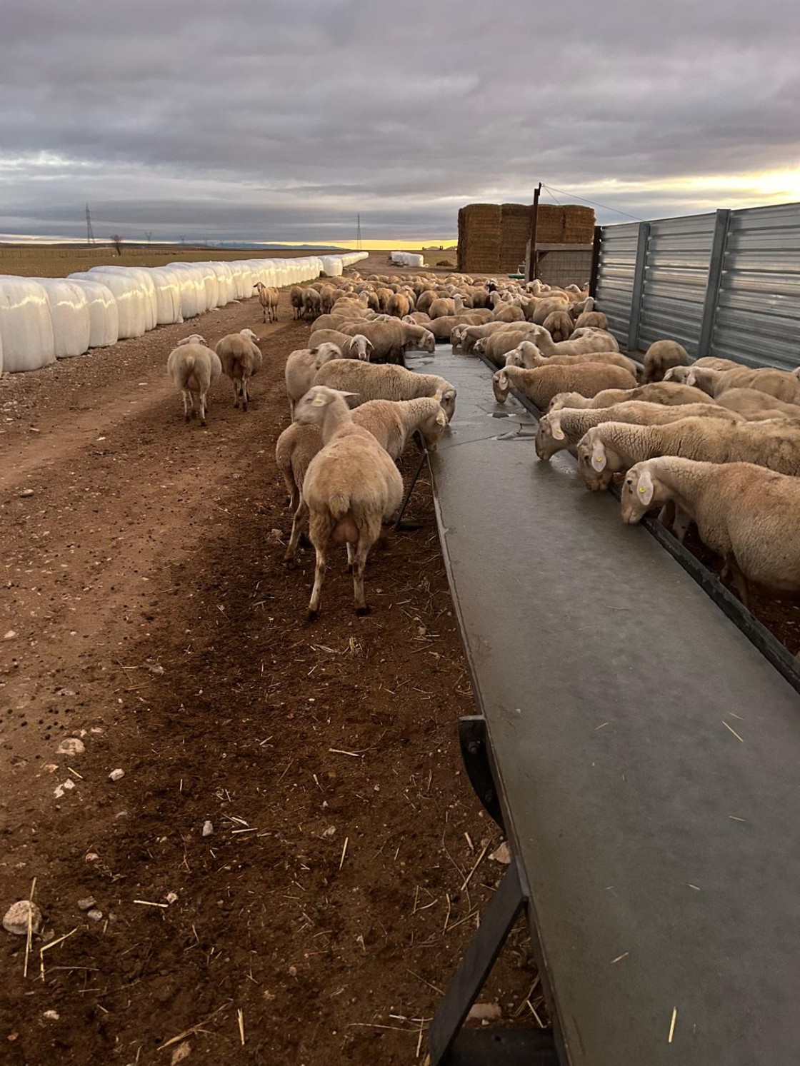 Termina el episodio de frío intenso dejando temperaturas de hasta -12,6 grados en Bello