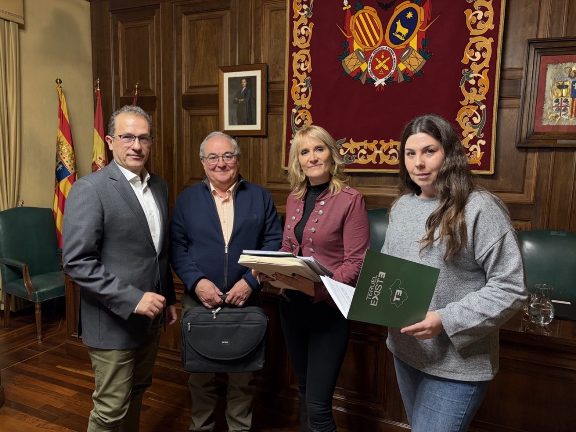 Teruel Existe propone un sistema de autoconsumo para que se ahorre el 40% en la factura de luz municipal