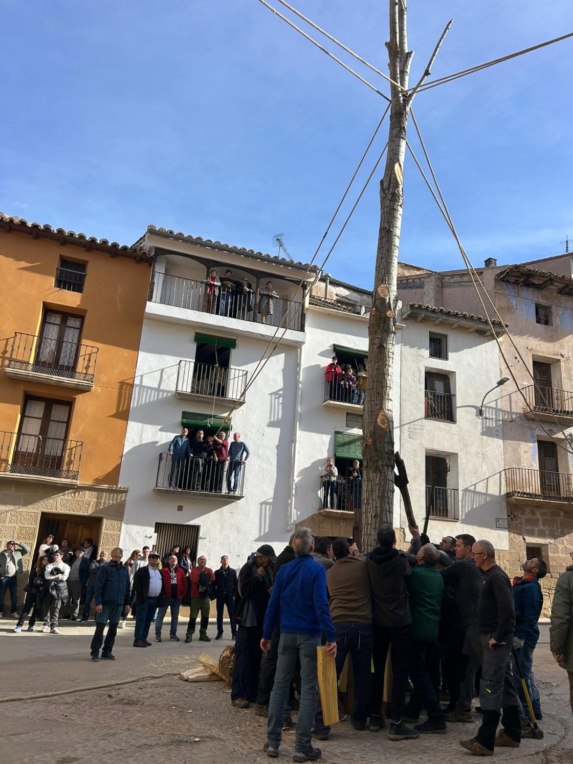 Un chopo de veinte metros marca en Castelserás el arranque de San Sebastián