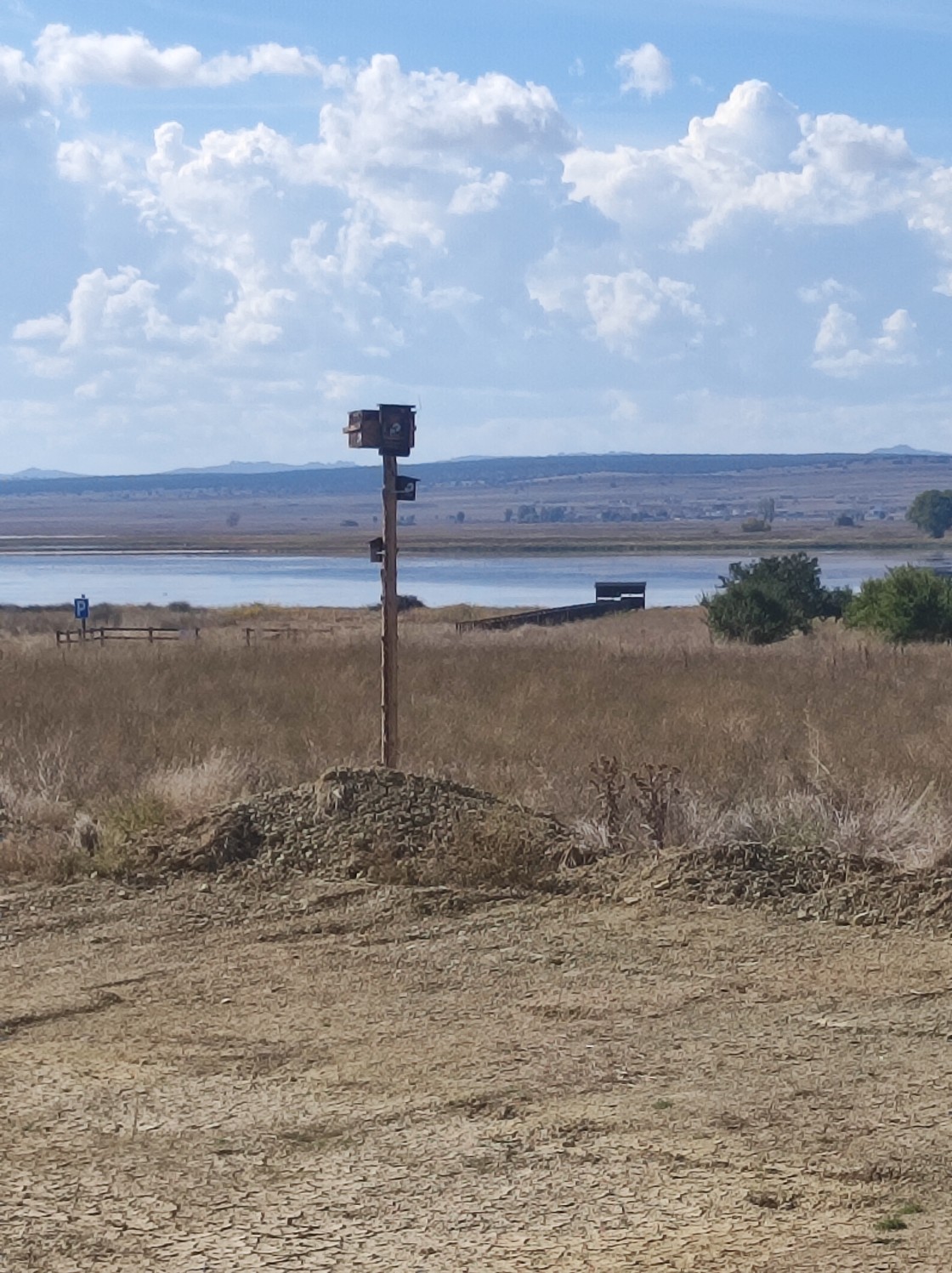 Concluye el plan en favor de los hábitats de aves en la Laguna de Gallocanta