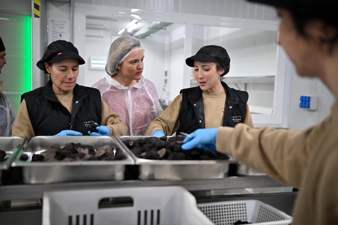 Alegría denuncia la “lamentable decisión” de Azcón de privatizar servicios del hospital Obispo Polanco