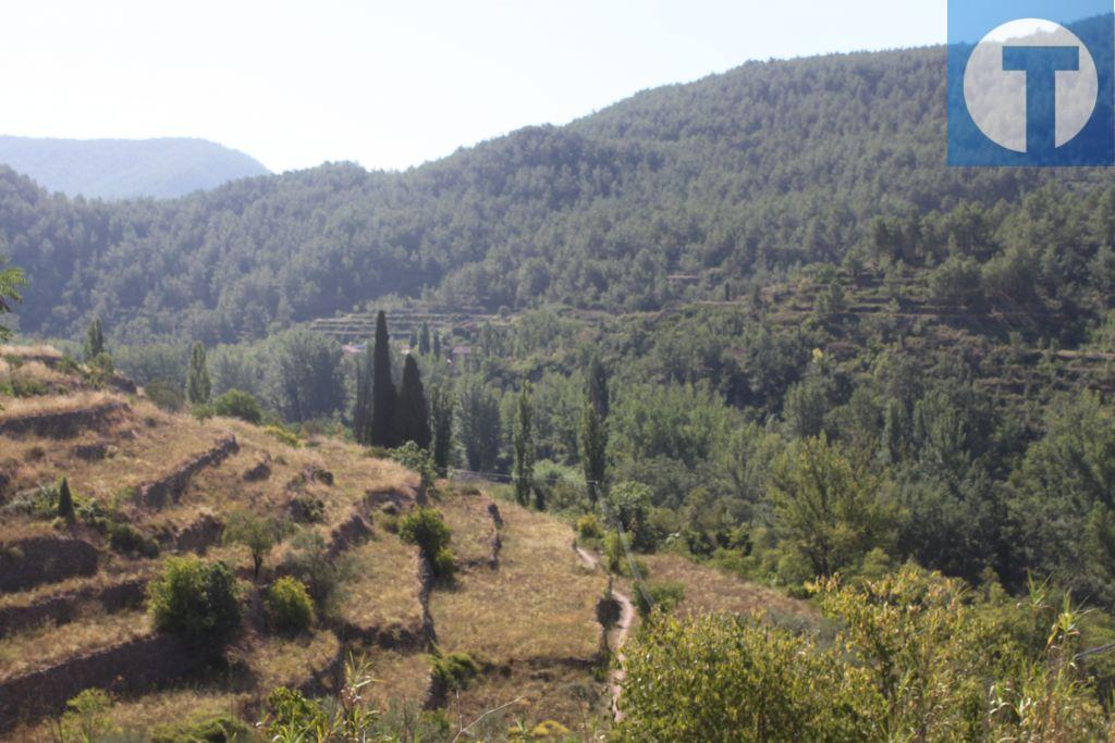 Olba abre oficina de información para la cesión de fincas y prevenir incendios