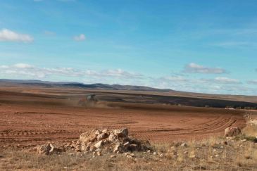 El sector agrario urge a conseguir un seguro válido para todas las zonas y cultivos