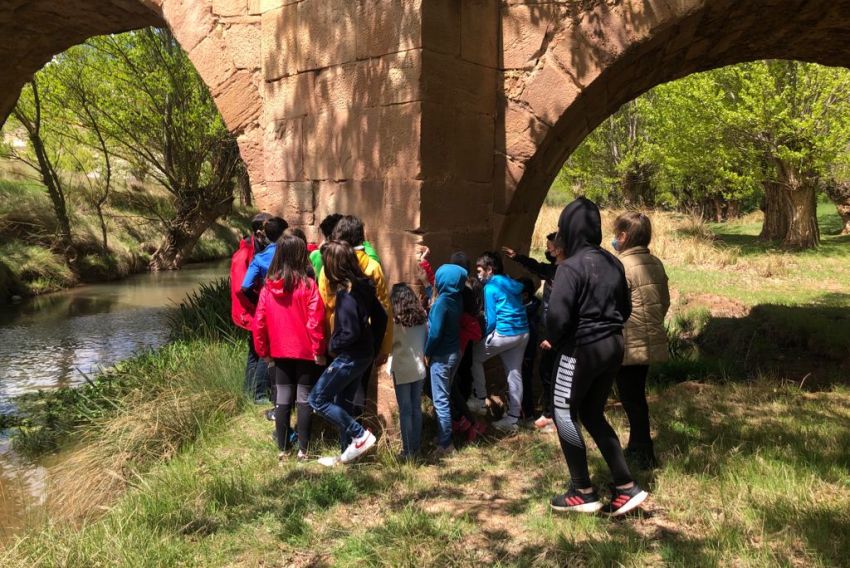 El Puente de Galve se convierte en un aula de geografía y botánica