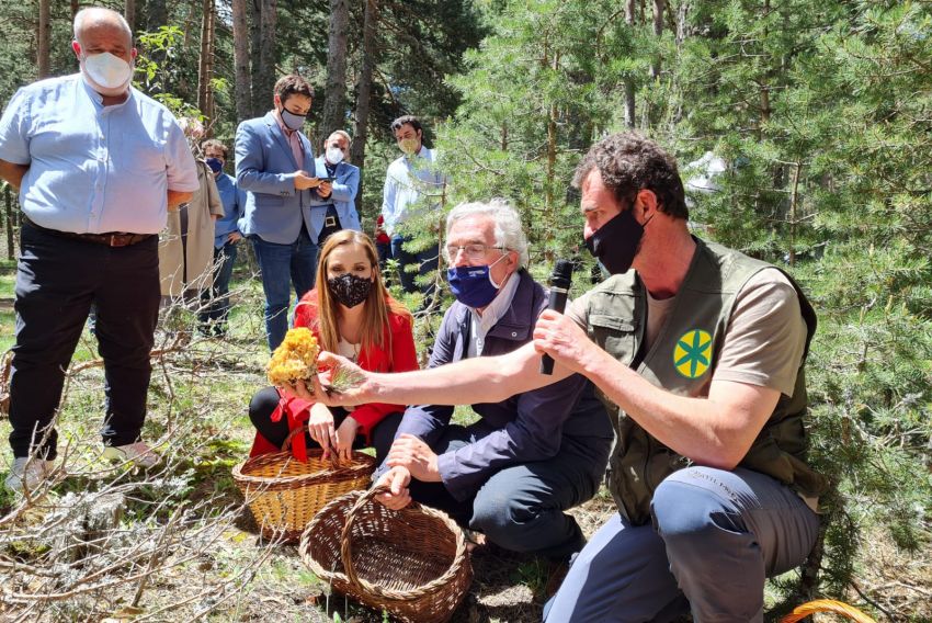 Presentan en Tramacastilla la Asociación de Parques Micológicos de Aragón, órgano de referencia de los recursos micológicos en la Comunidad