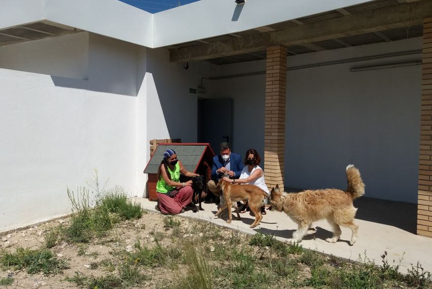 El albergue de perros y gatos de Teruel acoge animales que necesitan cuidados especiales