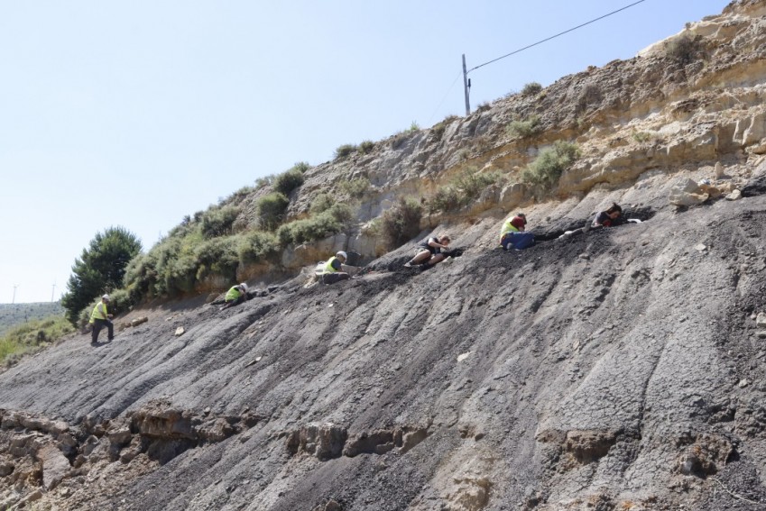 El yacimiento de ámbar de San Just arroja más “cápsulas del tiempo” atrapadas en resina