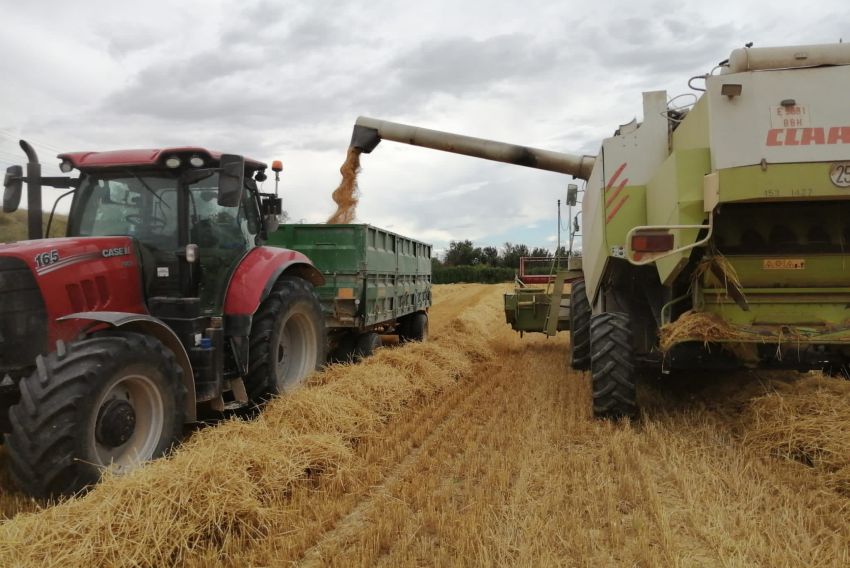 El campo turolense sufre más siniestros  en el primer semestre que en todo el 2020