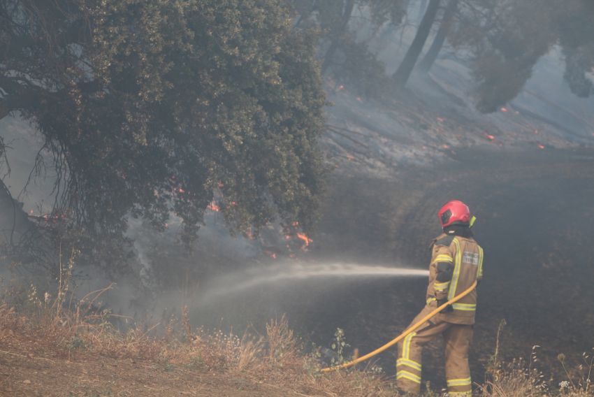 Efectivos terrestres y aéreos combaten un fuego declarado en las inmediaciones de Burbáguena