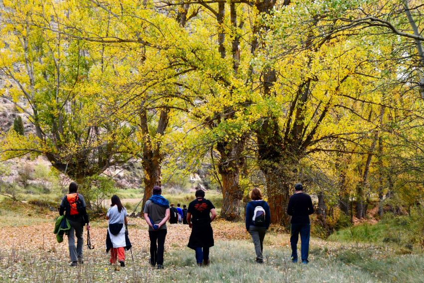 El Parque Cultural del Chopo Cabecero difunde en Zaragoza su apuesta por el desarrollo rural a través del patrimonio