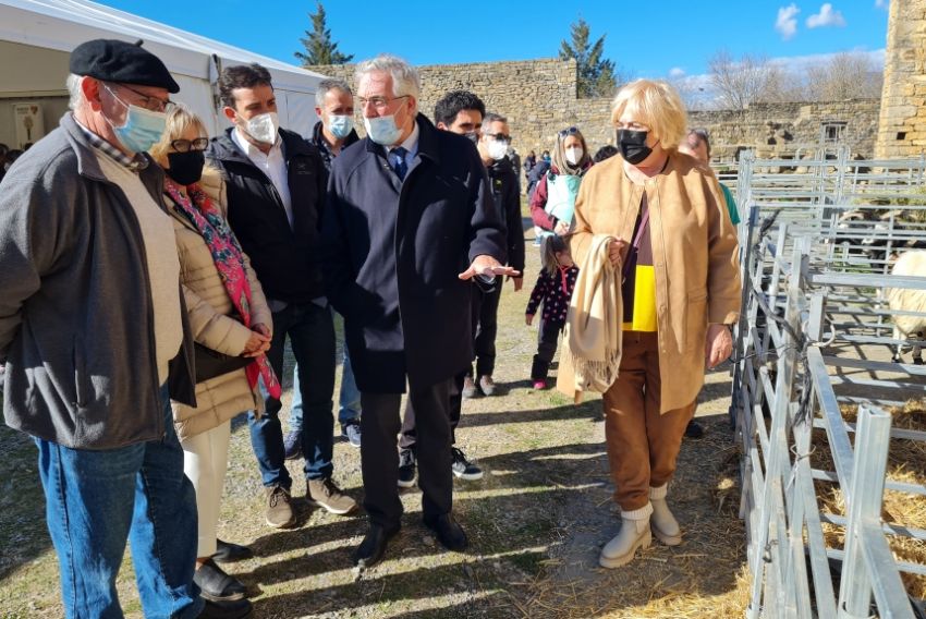El Gobierno de Aragón destinará 11,1 millones de euros a la habilitación de caminos y acceso a parcelas de ocho proyectos de concentración parcelaria en Teruel