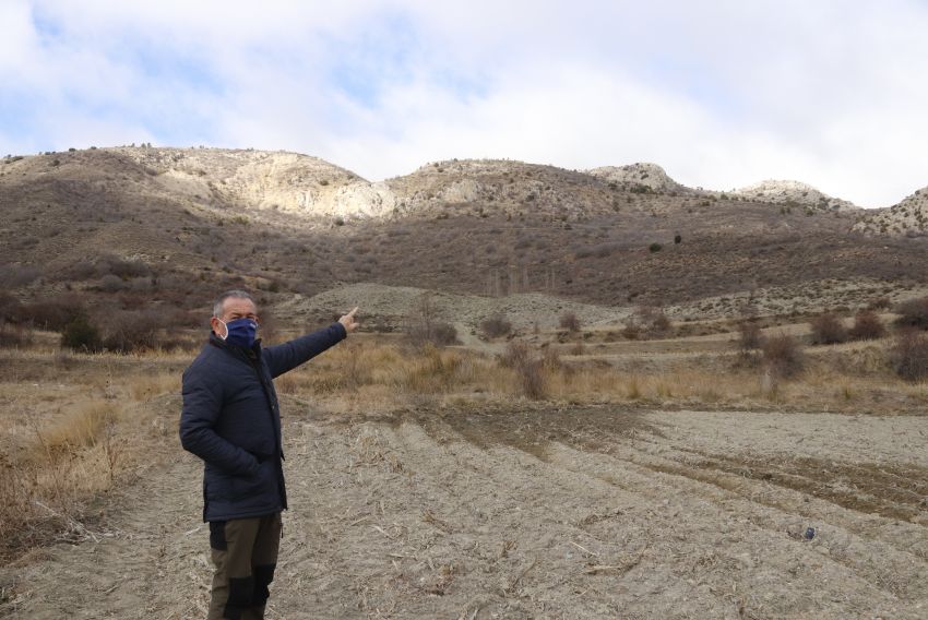 El proyecto internacional Corredor Biológico Mundial plantará en Camarena 50 hectáreas de encinas, serbales y arces