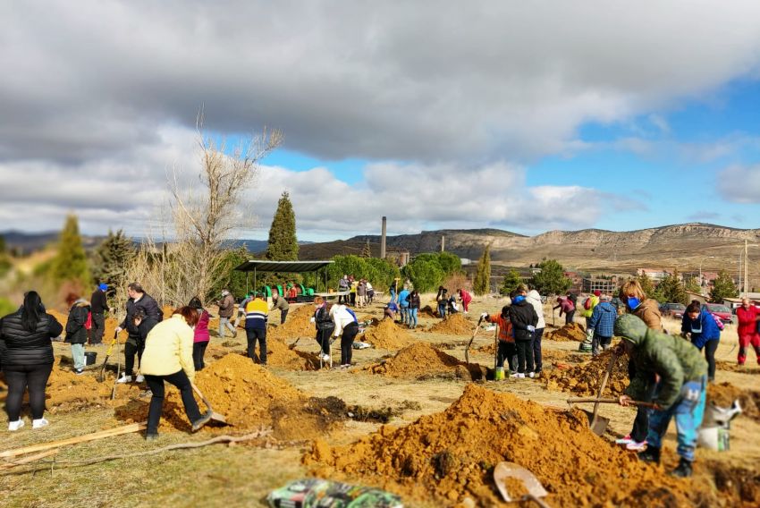 Las minas con nombre femenino son ya árboles en el Bosque de las Mujeres de Escucha