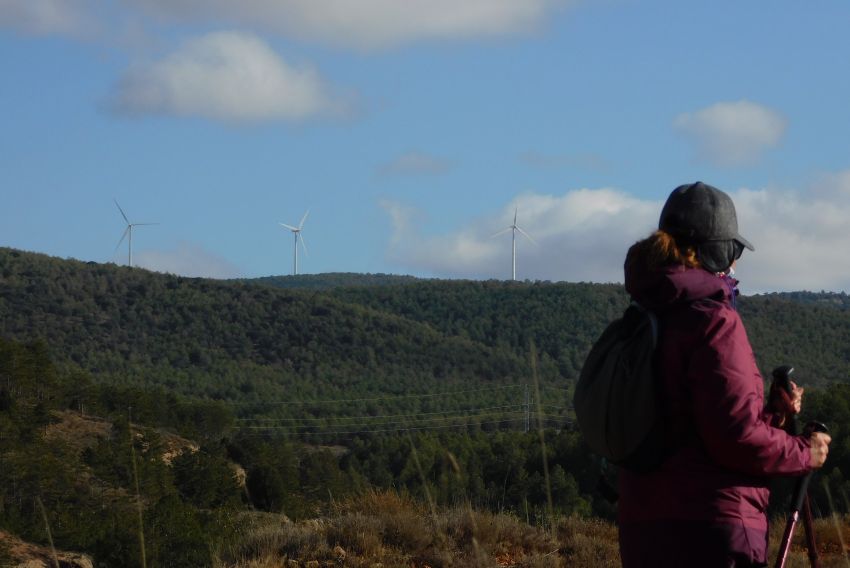 Un estudio de la Politécnica de Madrid plantea afrontar la despoblación apostando por las cabeceras comarcales