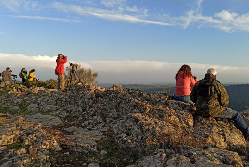 La ‘Berrea bajo las estrellas’ en la Sierra de Albarracín, en días laborables para evitar aglomeraciones