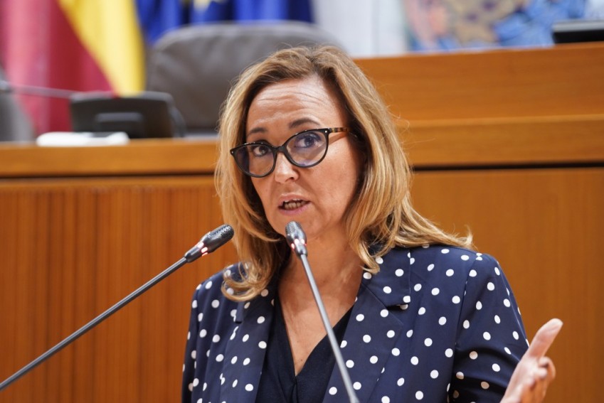 Mayte Pérez dice en las Cortes que las ayudas al funcionamiento de empresas del 20% están “a punto de ser una realidad”