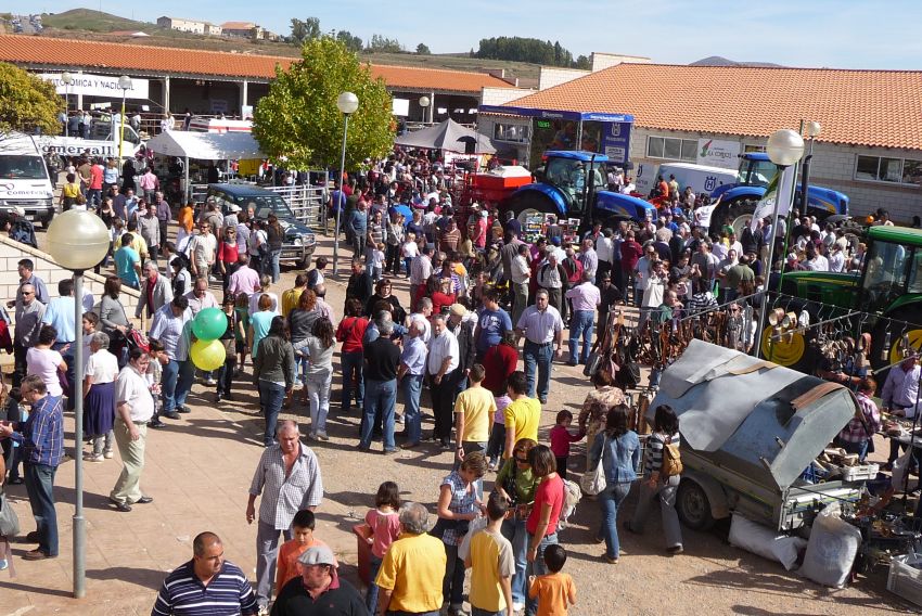 La Feria de Cedrillas cumple 130 años  y lo celebra volviendo a su formato habitual