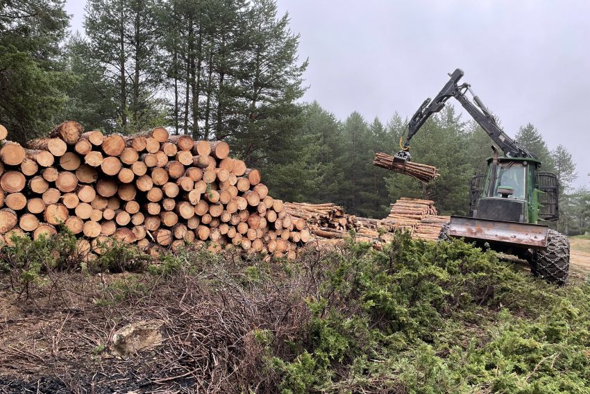 El Fondo de Inversiones de Teruel impulsa la mejora de la gestión forestal sostenible a través de una plataforma digital