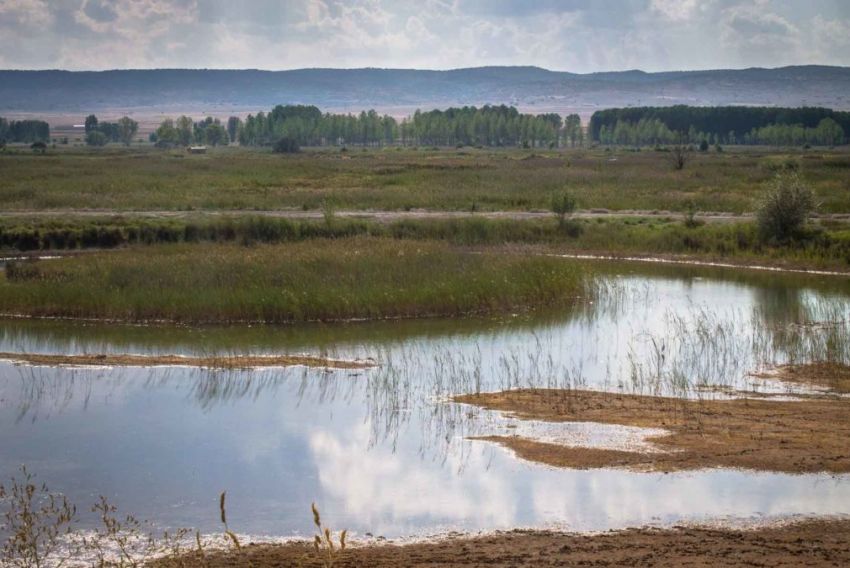 El Gobierno de Aragón invertirá más de 500.000 euros en la restauración y mejoras de hábitats de la Laguna del Cañizar