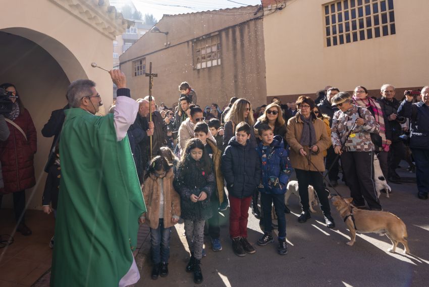 Las mascotas turolenses, más cerca del cielo tras recibir la bendición de San Antón