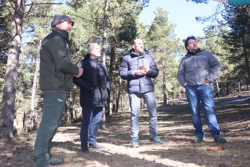 Bayona reivindica la gestión de las masas forestales como garantía para el ecosistema del monte