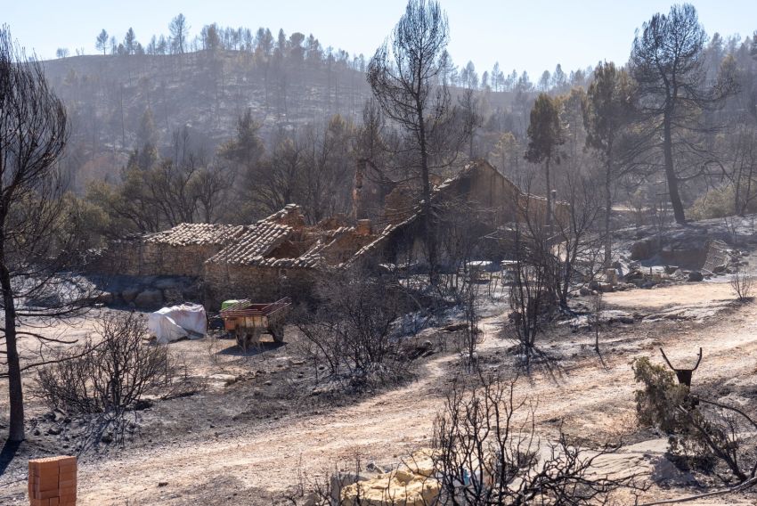 Preocupación en San Agustín ante la falta de concreción sobre las ayudas del incendio forestal