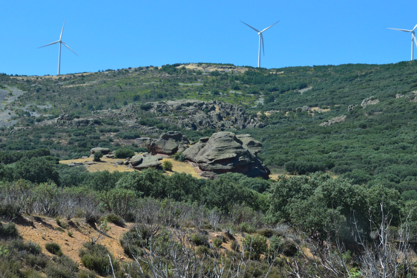 La Plataforma en Defensa de los Paisajes de Teruel denuncia una rebaja fiscal a Forestalia