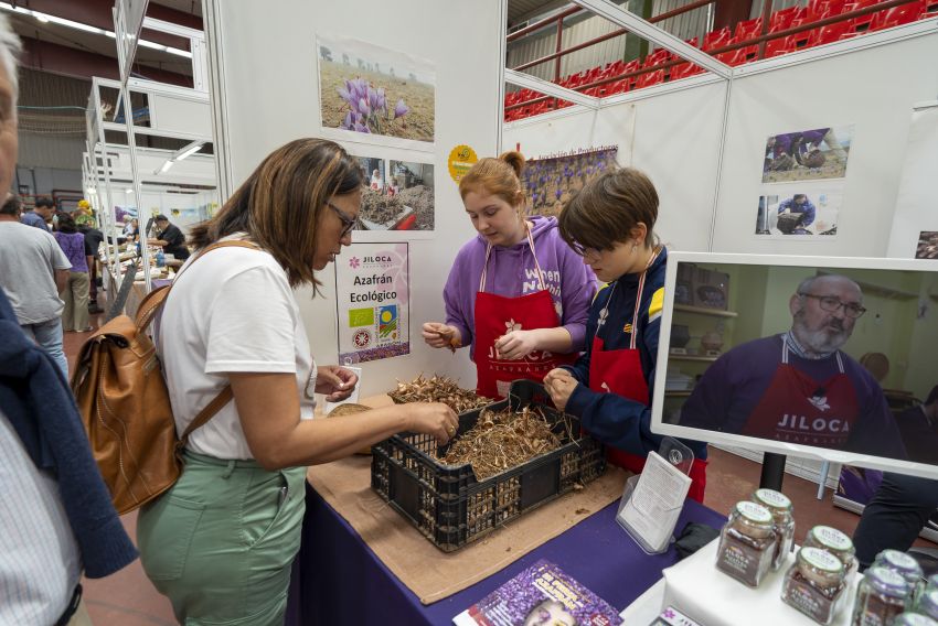 La Feria del Azafrán de Monreal del Campo se consolida como un revulsivo económico y social