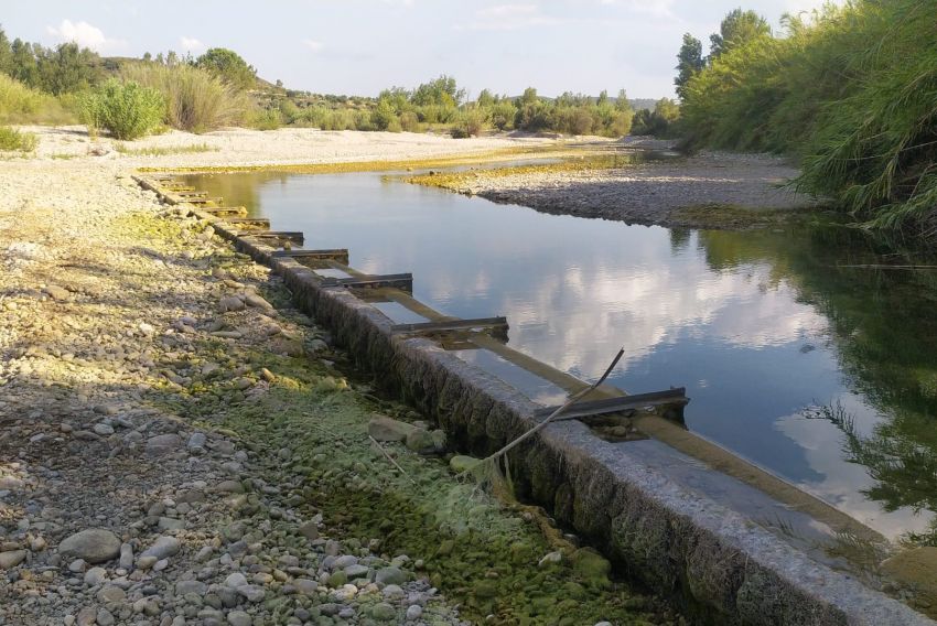 El Ayuntamiento de Mazaleón declara no potable el agua de boca hasta nueva orden por la presencia de una bacteria