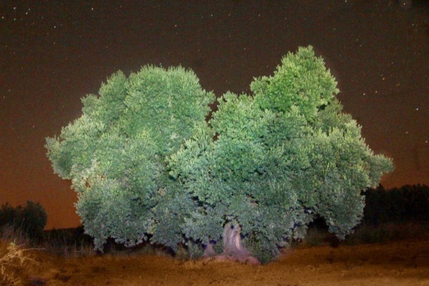 Donde habite el olvido