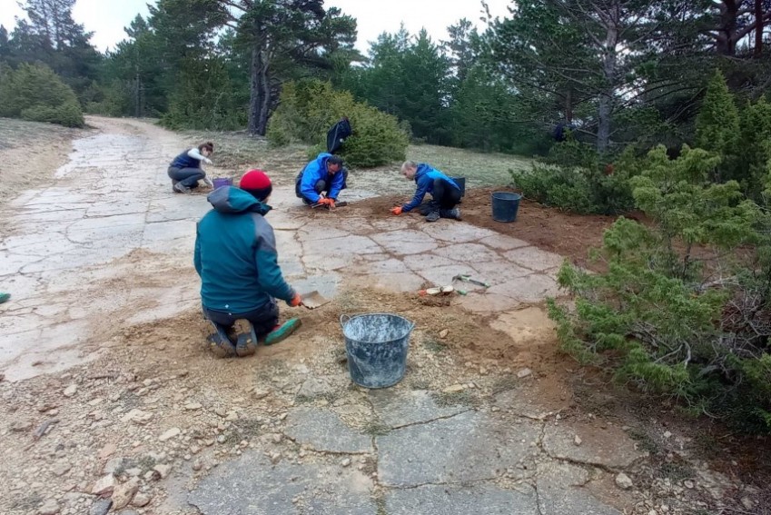 La Fundación Dinópolis realiza unas Jornadas de Puertas Abiertas un yacimiento de icnitas de dinosaurios en Mosqueruela