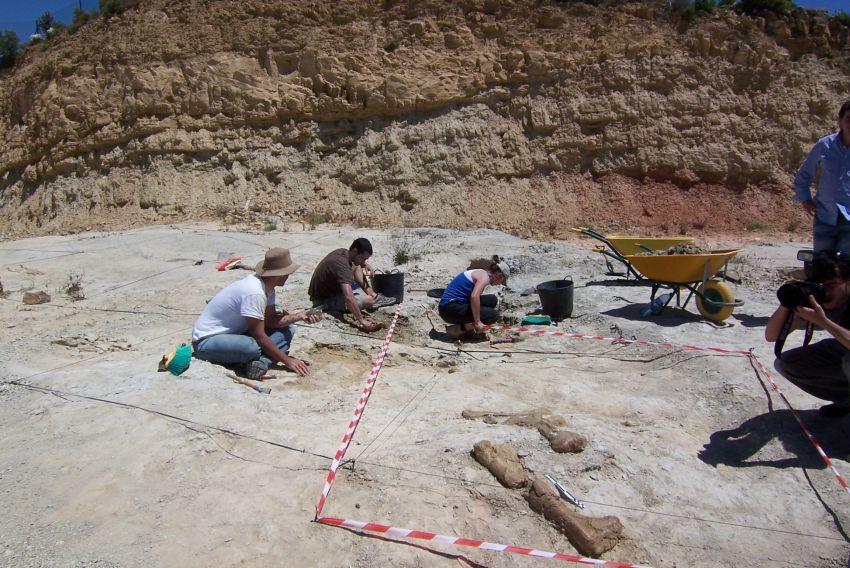 La Fundación Dinópolis ha hecho del yacimiento del Barrihonda-El Humero una auténtica mina de oro