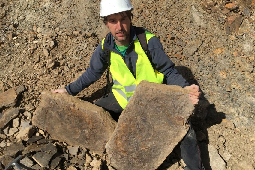 Fósiles de Loscos ayudarán a entender cómo las plantas salieron del mar y conquistaron la tierra