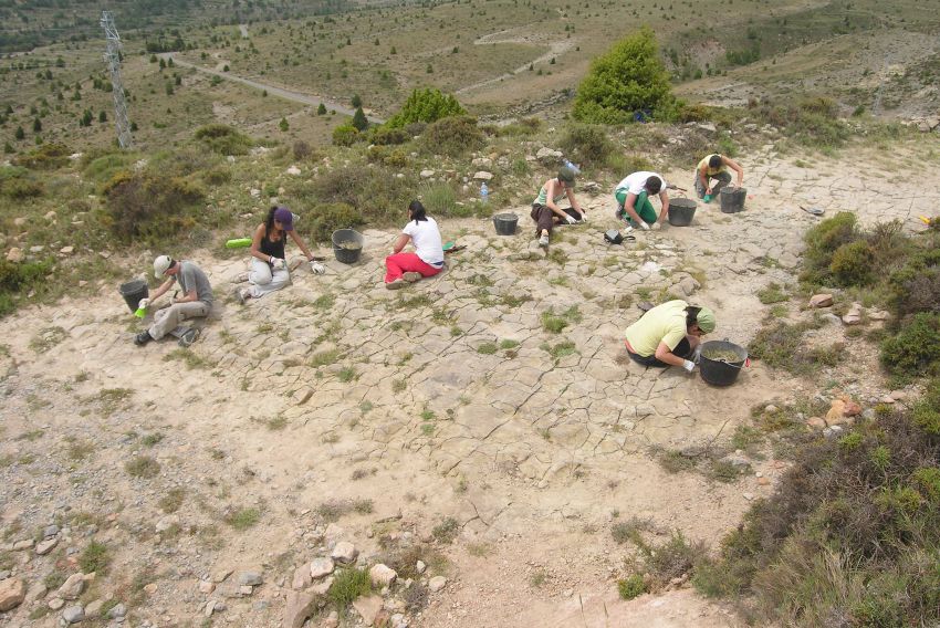 La Fundación Dinópolis ha sido un nicho de formación y empleo desde su creación