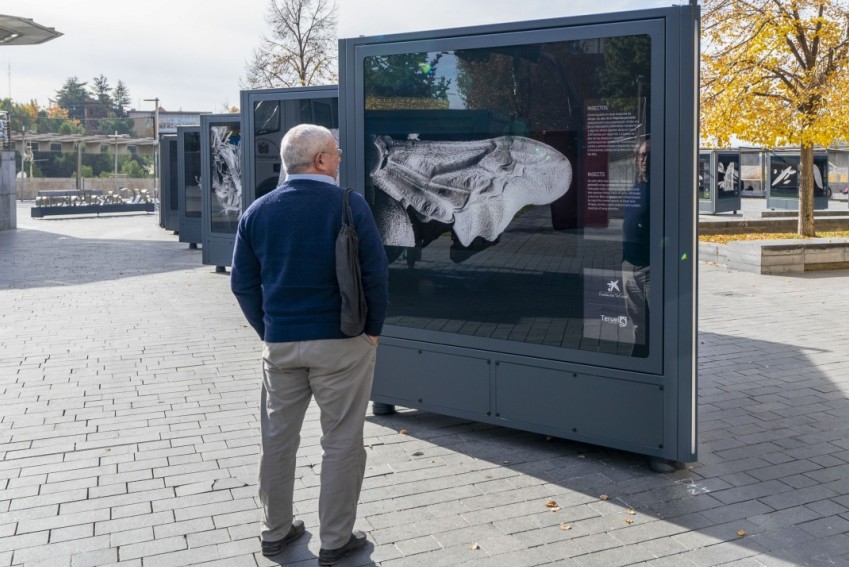 Teruel acoge 'Nanocosmos', una exposición que deja ver lo invisible al ojo humano