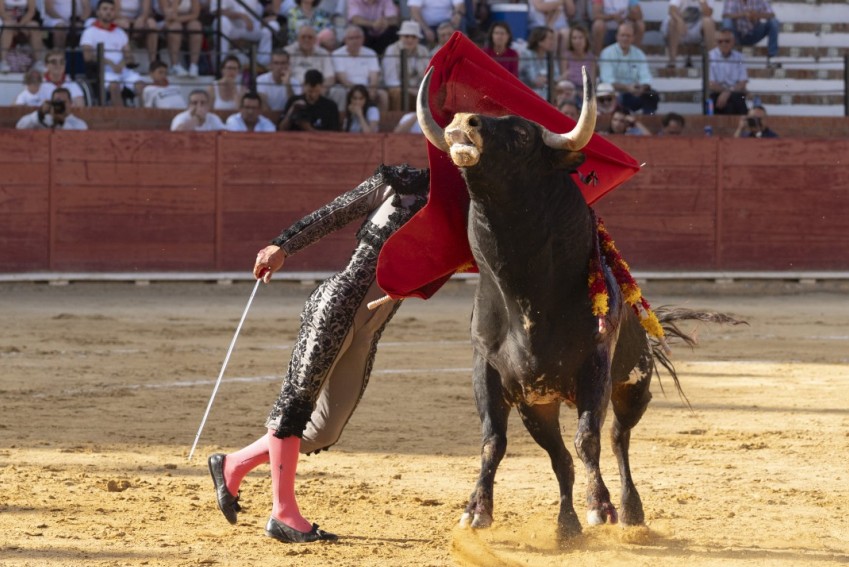 La Fundación Franz Weber critica la “lluvia de euros” de Teruel para corridas de toros