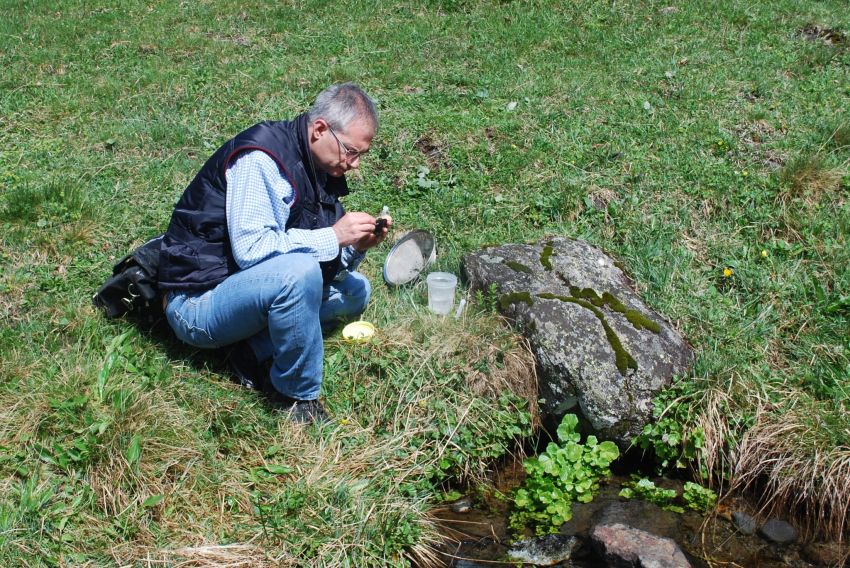 Castellote alberga los únicos caracoles del género 'Bythinella' localizados en Teruel