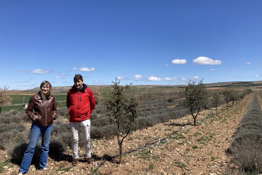 La Oficina Contra el Cambio Climático certifica la absorción de carbono de dos bosques de Térvalis