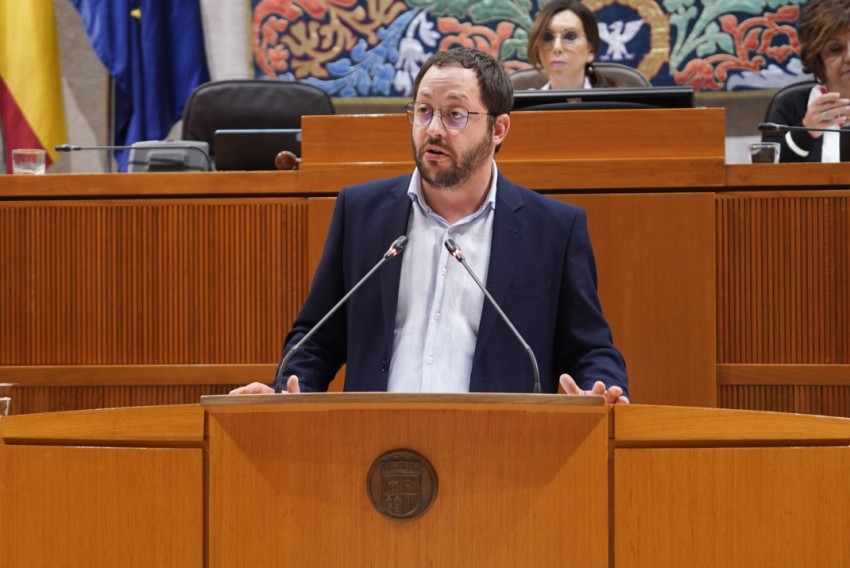 El PSOE vigilará que el Gobierno garantiza la recogida de la lana acumulada por los ganaderos de ovino, aunque cree que llega tarde