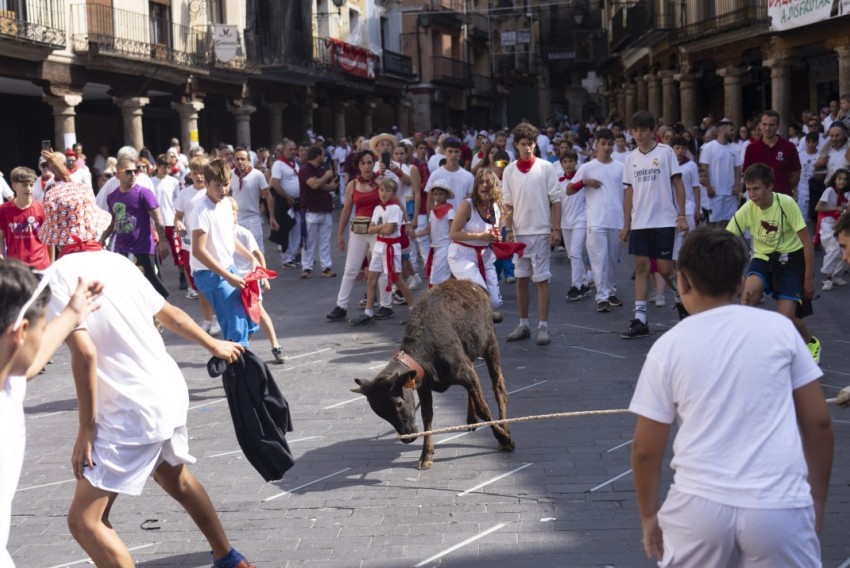 Pacma denuncia la 