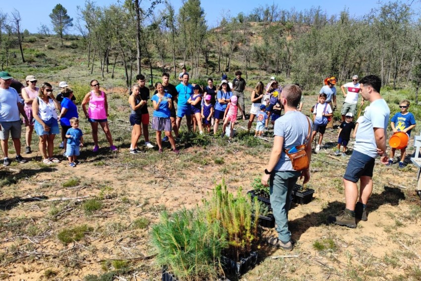 San Agustín difunde los efectos del cambio climático en las masas forestales