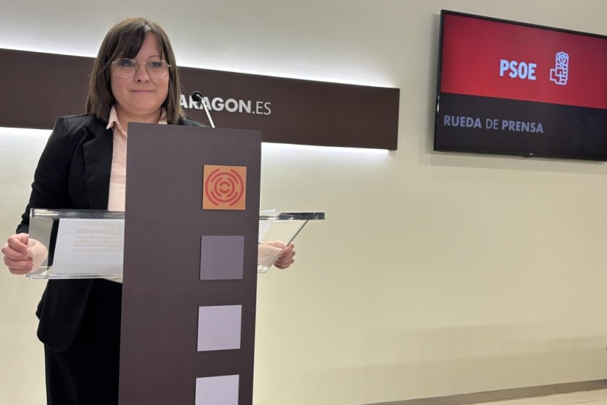 Carmen Soler (PSOE) pide al Gobierno de Aragón 
