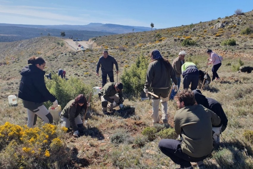 La Silent Route compensa su huella de carbono con otra plantación de árboles
