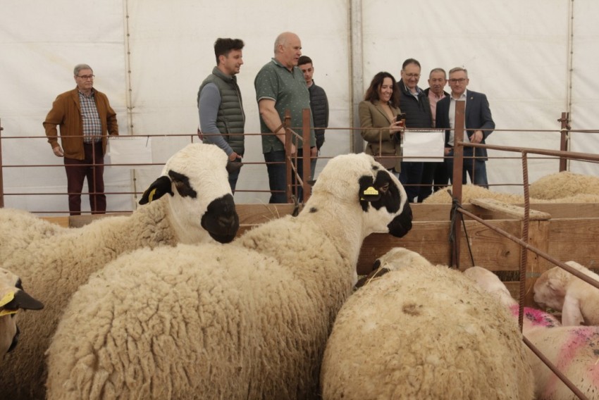 “La provincia de Teruel debe mantener su apuesta por la excelencia en el sector agroalimentario”