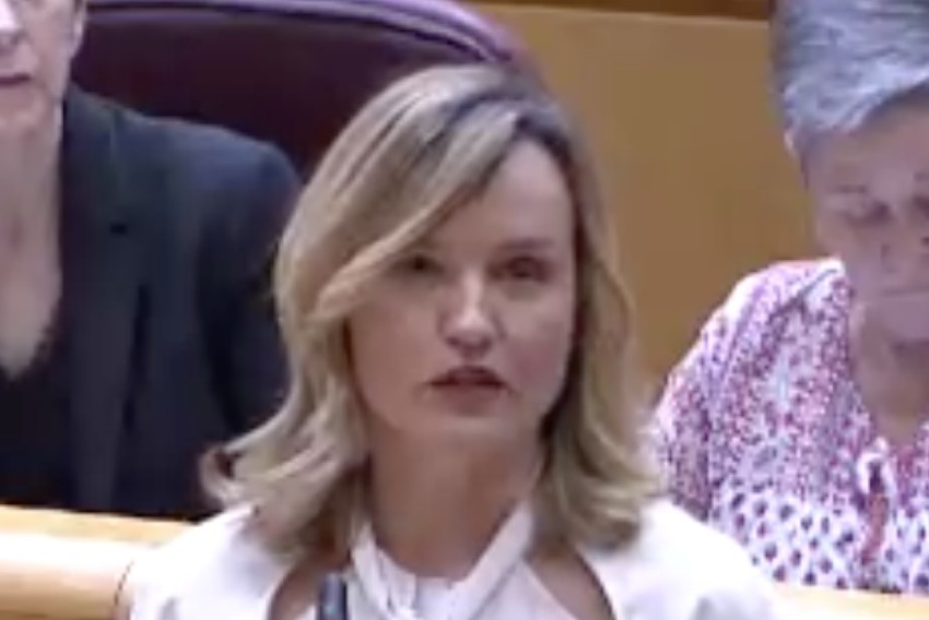 Alegría insiste en acusar al PP de “encender el botón de los insultos”