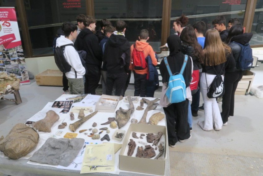 La Fundación Dinópolis celebra el Día Internacional de los Museos con charlas y visitas educativas y el acceso libre a su último libro publicado
