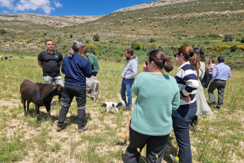 ‘Egoturismo’, autenticidad  y el abismo entre ciudad  y campo, realidades del turismo agroalimentario